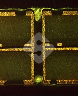 ����ϣ����williamhill(�й�)���Ĺ���