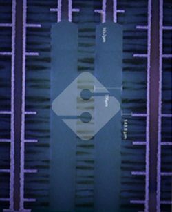 ����ϣ����williamhill(�й�)���Ĺ���