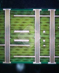 ����ϣ����williamhill(�й�)���Ĺ���