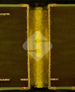 ����ϣ����williamhill(�й�)���Ĺ���