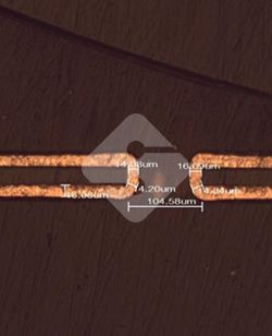 ����ϣ����williamhill(�й�)���Ĺ���