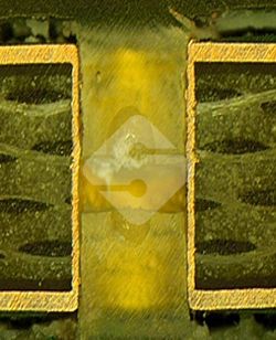 ����ϣ����williamhill(�й�)���Ĺ���