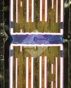 ����ϣ����williamhill(�й�)���Ĺ���