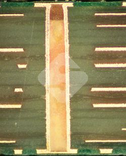 ����ϣ����williamhill(�й�)���Ĺ���