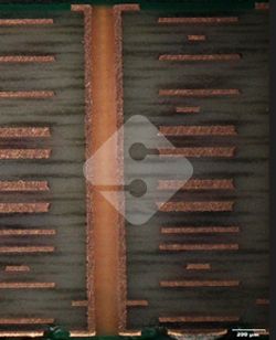 ����ϣ����williamhill(�й�)���Ĺ���