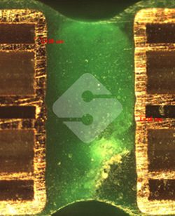 威廉希尔·williamhill(中国)中文官网