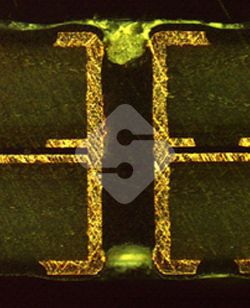 威廉希尔·williamhill(中国)中文官网